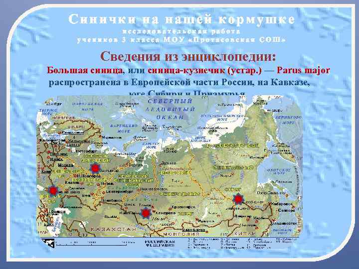 Синички на нашей кормушке исследовательская работа учеников 3 класса МОУ «Протасовская СОШ» Сведения из