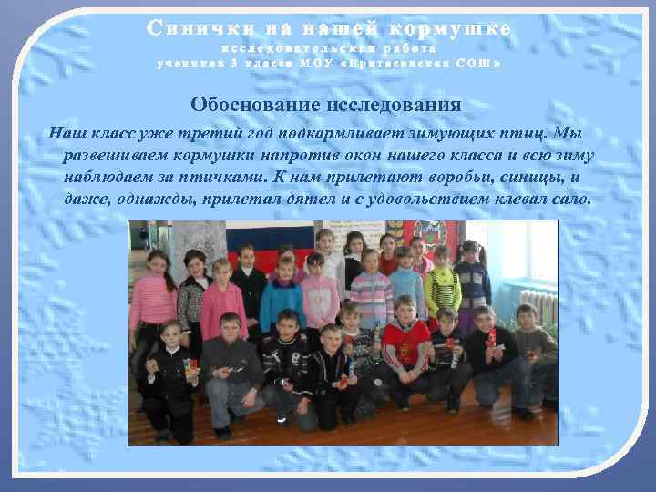 Синички на нашей кормушке исследовательская работа учеников 3 класса МОУ «Протасовская СОШ» Обоснование исследования