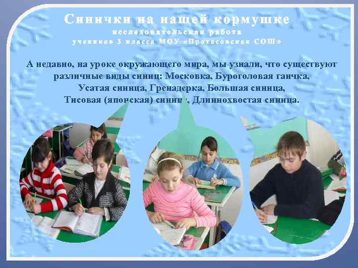 Синички на нашей кормушке исследовательская работа учеников 3 класса МОУ «Протасовская СОШ» А недавно,