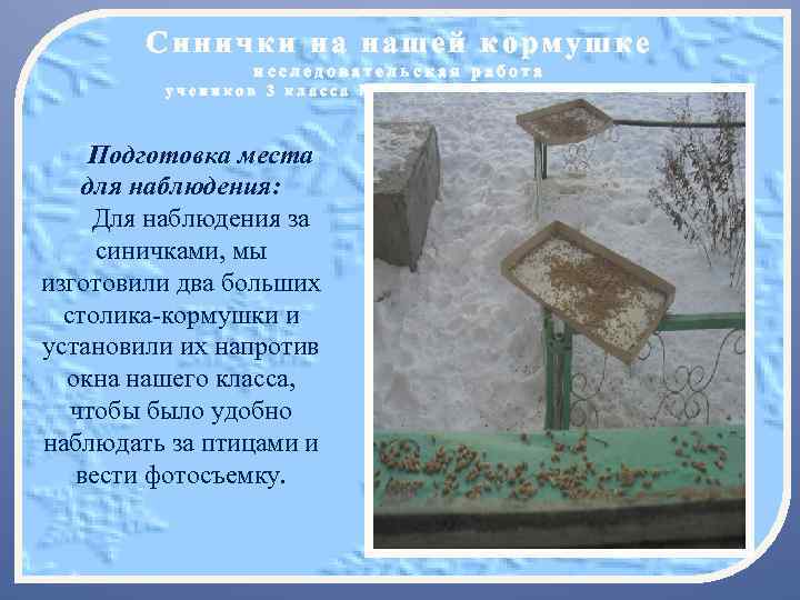 Синички на нашей кормушке исследовательская работа учеников 3 класса МОУ «Протасовская СОШ» Подготовка места