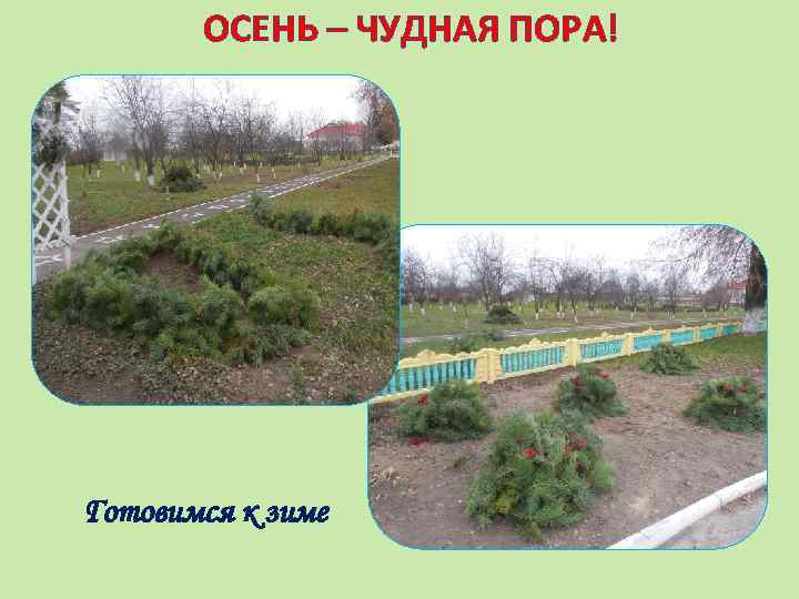 ОСЕНЬ – ЧУДНАЯ ПОРА! Готовимся к зиме 