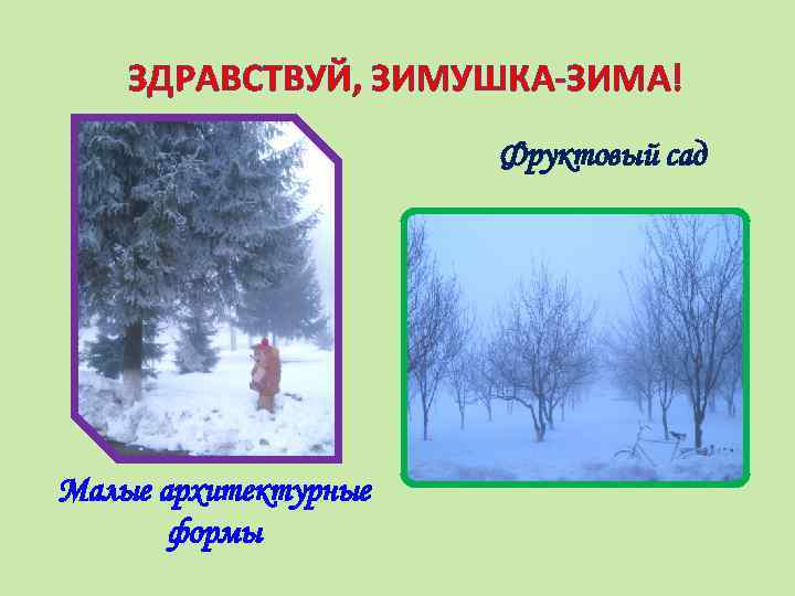 ЗДРАВСТВУЙ, ЗИМУШКА-ЗИМА! Фруктовый сад Малые архитектурные формы 