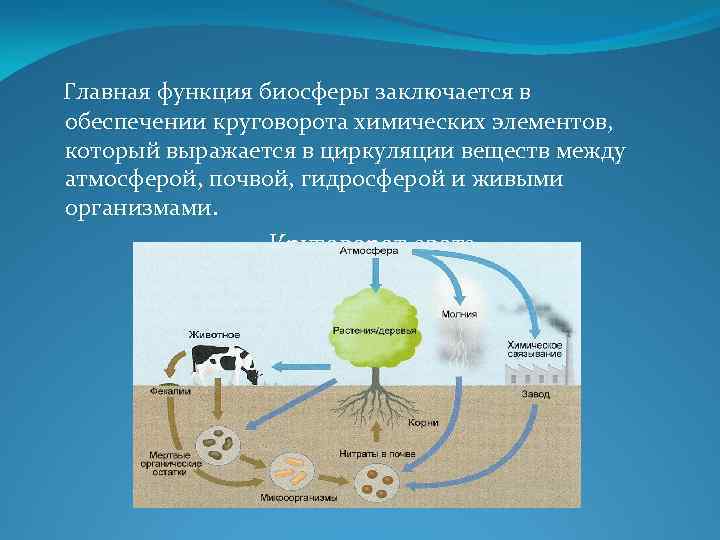 Схема основные компоненты биосферы