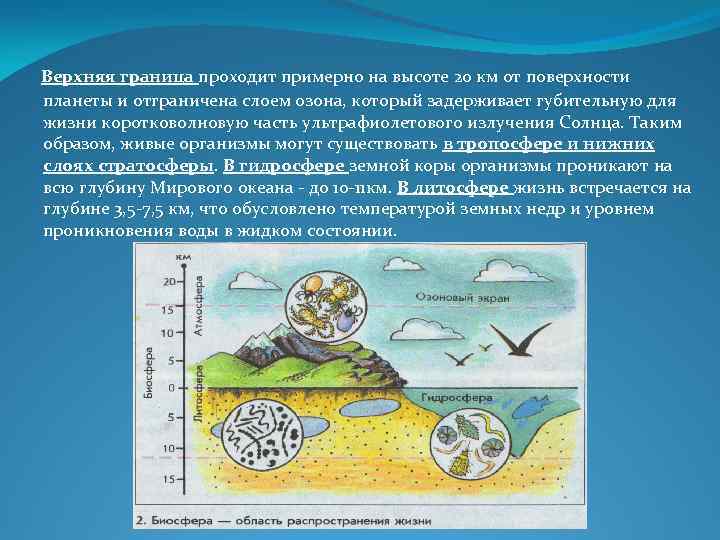 Мой вклад в сохранение биосферы. Биосфера Глобальная экологическая система. Биосфера Глобальная экологическая система лекция. Вода встречается на поверхности планет. Устойчивость биосферы: причины и пределы.