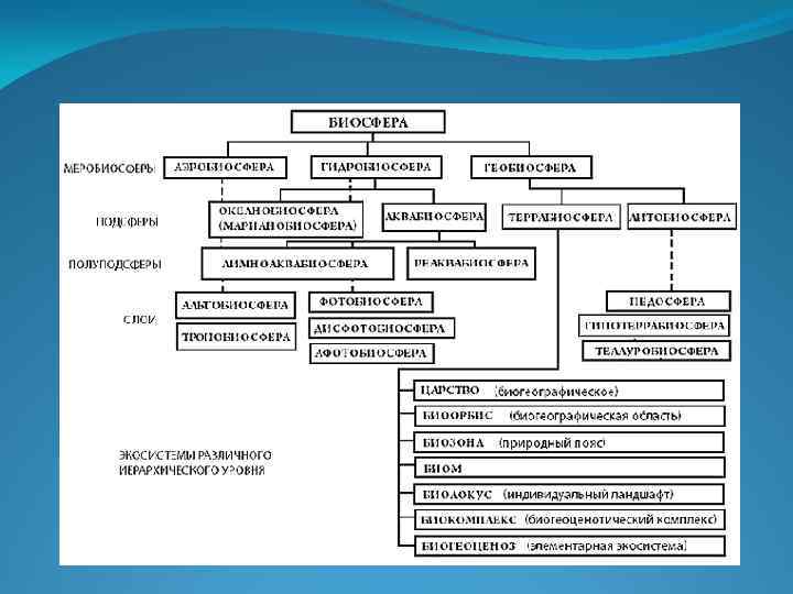 Биосфера биогеоценоз. Биосфера Глобальная экосистема. Биосфера как экосистема. Биосфера Глобальная экосистема схема. Биосфера Глобальная экосистема таблица.