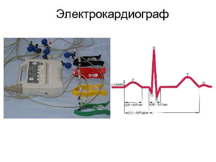 Электрокардиограф 