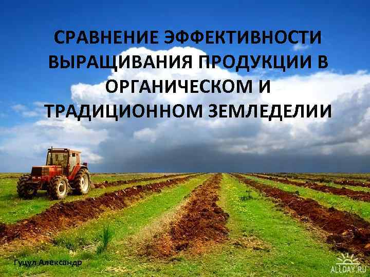 СРАВНЕНИЕ ЭФФЕКТИВНОСТИ ВЫРАЩИВАНИЯ ПРОДУКЦИИ В ОРГАНИЧЕСКОМ И ТРАДИЦИОННОМ ЗЕМЛЕДЕЛИИ Гуцул Александр 