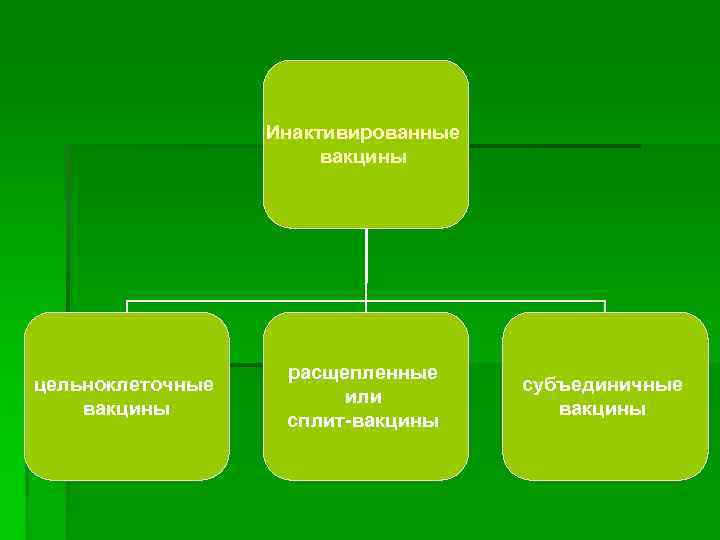 Инактивированные вакцины цельноклеточные вакцины расщепленные или сплит-вакцины субъединичные вакцины 