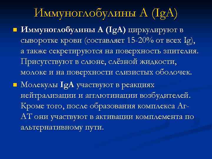 Иммуноглобулины А (Ig. A) n n Иммуноглобулины А (Ig. A) циркулируют в сыворотке крови