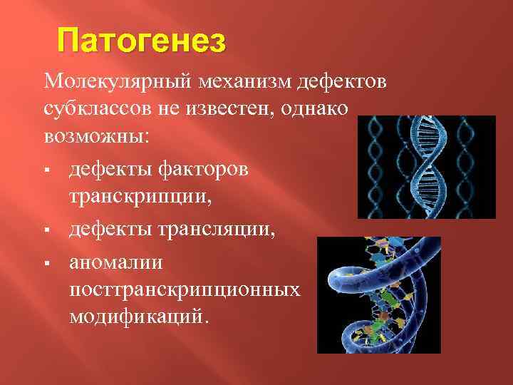 Патогенез Молекулярный механизм дефектов субклассов не известен, однако возможны: § дефекты факторов транскрипции, §