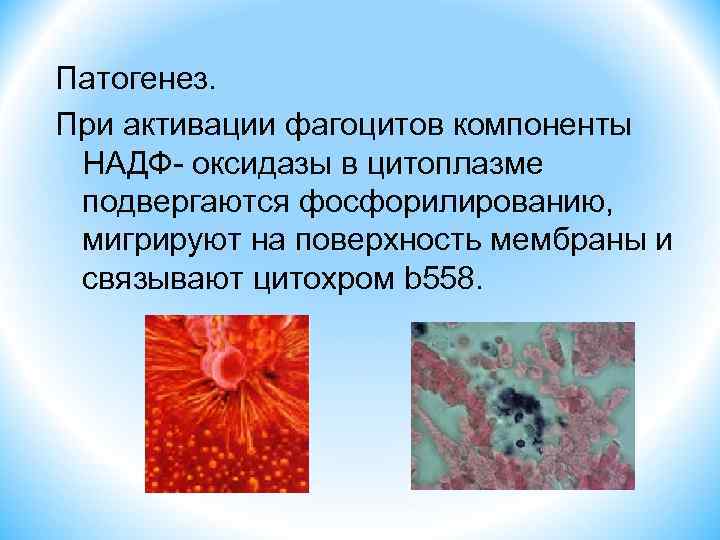 Хроническая гранулематозная болезнь презентация