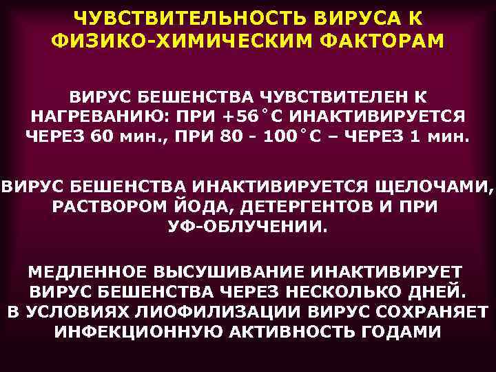 ЧУВСТВИТЕЛЬНОСТЬ ВИРУСА К ФИЗИКО-ХИМИЧЕСКИМ ФАКТОРАМ ВИРУС БЕШЕНСТВА ЧУВСТВИТЕЛЕН К НАГРЕВАНИЮ: ПРИ +56˚С ИНАКТИВИРУЕТСЯ ЧЕРЕЗ