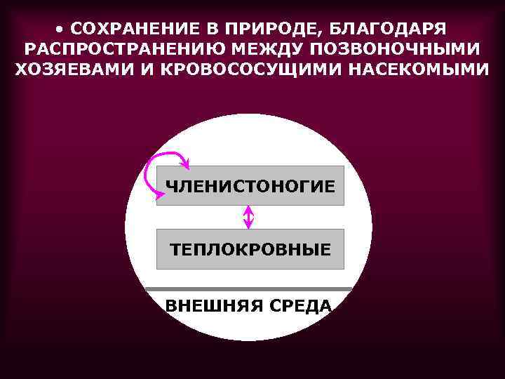  • СОХРАНЕНИЕ В ПРИРОДЕ, БЛАГОДАРЯ РАСПРОСТРАНЕНИЮ МЕЖДУ ПОЗВОНОЧНЫМИ ХОЗЯЕВАМИ И КРОВОСОСУЩИМИ НАСЕКОМЫМИ ЧЛЕНИСТОНОГИЕ