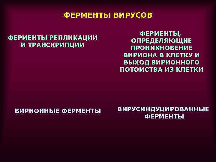 ФЕРМЕНТЫ ВИРУСОВ ФЕРМЕНТЫ РЕПЛИКАЦИИ И ТРАНСКРИПЦИИ ВИРИОННЫЕ ФЕРМЕНТЫ, ОПРЕДЕЛЯЮЩИЕ ПРОНИКНОВЕНИЕ ВИРИОНА В КЛЕТКУ И