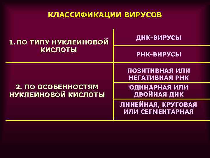 КЛАССИФИКАЦИИ ВИРУСОВ 1. ПО ТИПУ НУКЛЕИНОВОЙ КИСЛОТЫ ДНК-ВИРУСЫ РНК-ВИРУСЫ ПОЗИТИВНАЯ ИЛИ НЕГАТИВНАЯ РНК 2.