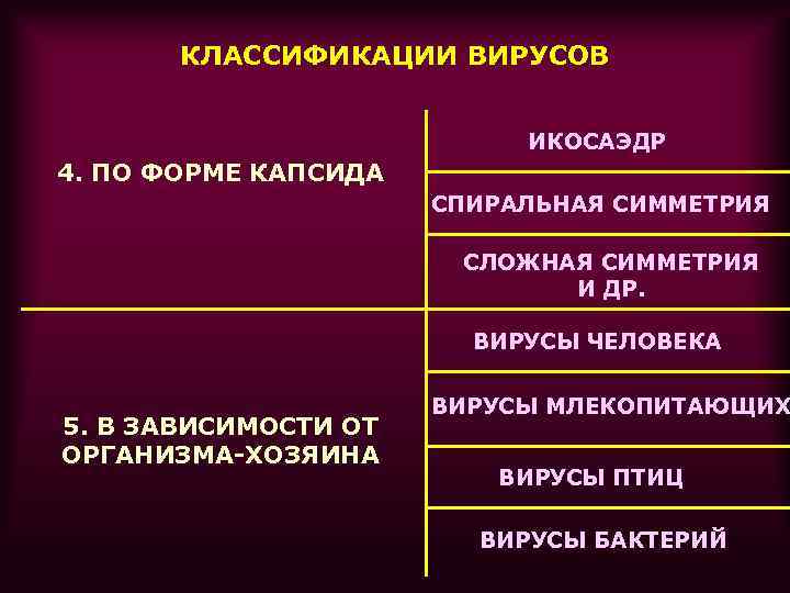 КЛАССИФИКАЦИИ ВИРУСОВ ИКОСАЭДР 4. ПО ФОРМЕ КАПСИДА СПИРАЛЬНАЯ СИММЕТРИЯ СЛОЖНАЯ СИММЕТРИЯ И ДР. ВИРУСЫ
