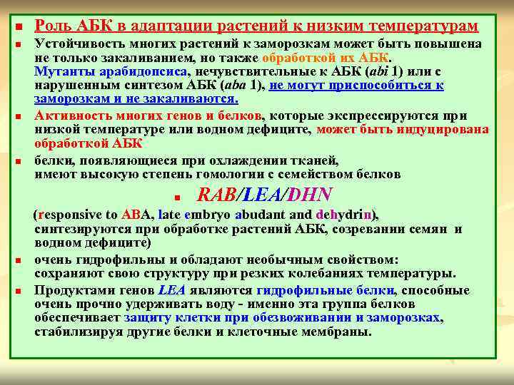 n n Роль АБК в адаптации растений к низким температурам Устойчивость многих растений к