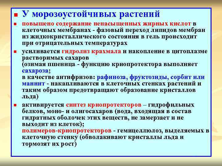 n n У морозоустойчивых растений повышено содержание ненасыщенных жирных кислот в клеточных мембранах -