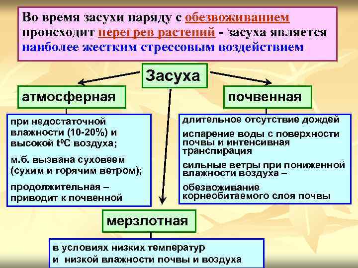 Во время неблагоприятное сочетание Засуха – засухи наряду с обезвоживанием происходит перегревусловий, при которых