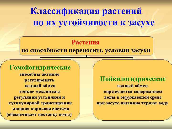 Классификация растений по их устойчивости к засухе Растения по способности переносить условия засухи Гомойогидрические