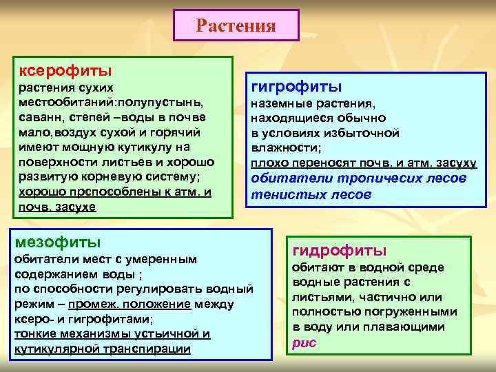 Растения ксерофиты растения сухих местообитаний: полупустынь, саванн, степей –воды в почве мало, воздух сухой