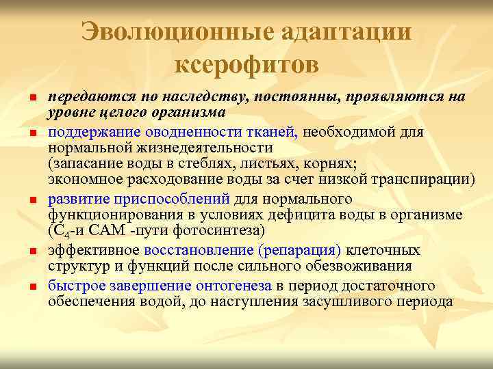 Эволюционные адаптации ксерофитов n n n передаются по наследству, постоянны, проявляются на уровне целого