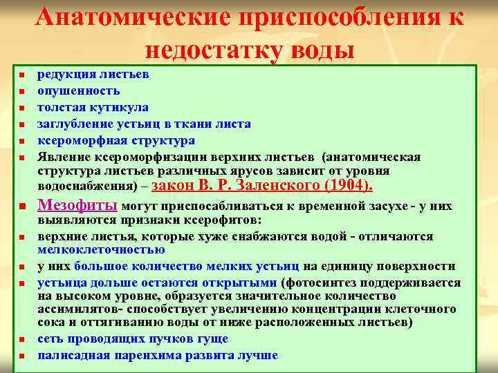 Анатомические приспособления к недостатку воды n n n редукция листьев опушенность толстая кутикула заглубление