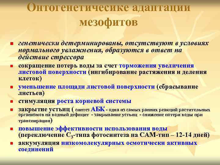 Онтогенетичесике адаптации мезофитов n n n n генетически детерминированы, отсутствуют в условиях нормального увлажнения,