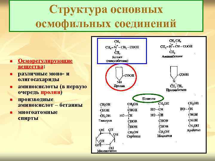 Структура основных осмофильных соединений n n n Осморегулирующие вещества: различные моно- и олигосахариды аминокислоты