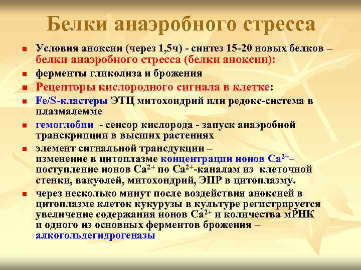 Белки анаэробного стресса n Условия аноксии (через 1, 5 ч) - синтез 15 -20