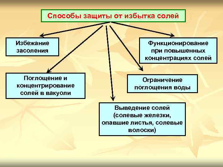Способы защиты от избытка солей Избежание засоления Поглощение и концентрирование солей в вакуоли Функционирование