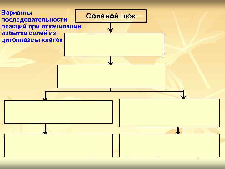 Варианты Солевой шок последовательности реакций при откачивании избытка солей из цитоплазмы клеток Увеличение ионной