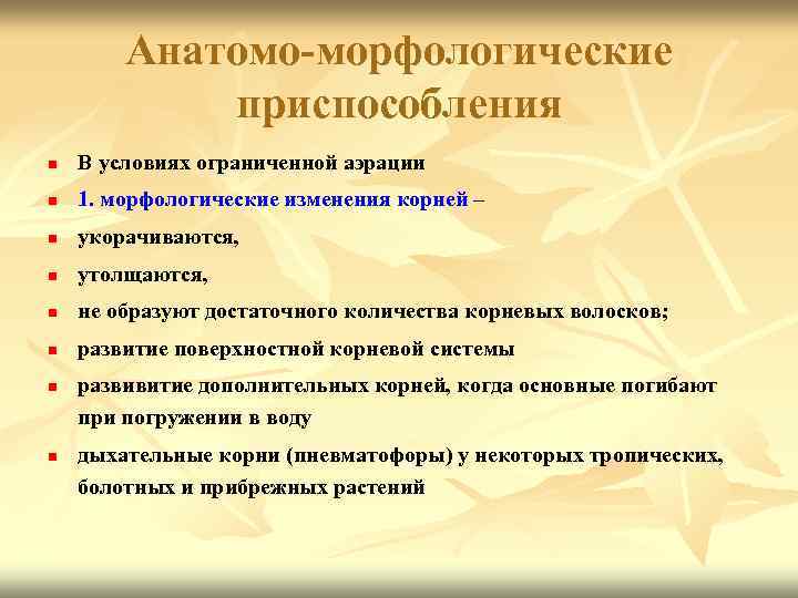 Анатомо-морфологические приспособления n В условиях ограниченной аэрации n 1. морфологические изменения корней – n