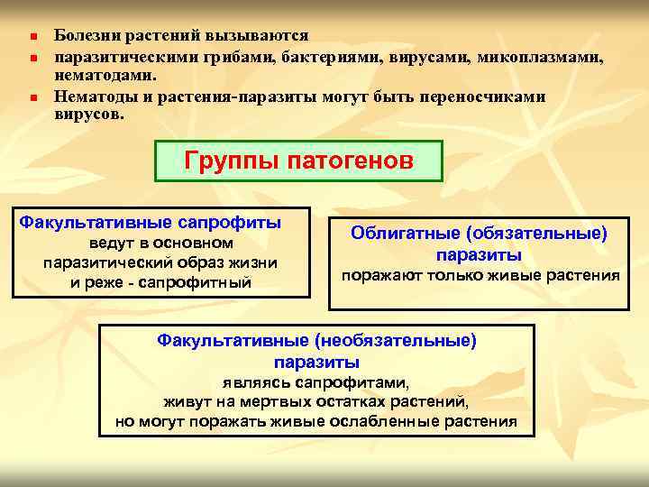 n n n Болезни растений вызываются паразитическими грибами, бактериями, вирусами, микоплазмами, нематодами. Нематоды и