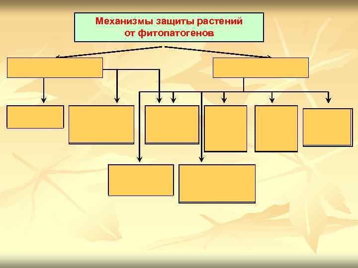 Механизмы защиты растений от фитопатогенов Конституционные Механический барьер Индуцированные Выделение антибиотических защитных веществ Недостаток