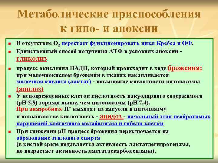 Метаболические приспособления к гипо- и аноксии n n В отсутствие О 2 перестает функционировать