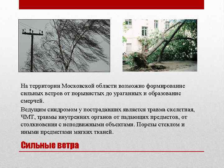 На территории Московской области возможно формирование сильных ветров от порывистых до ураганных и образование