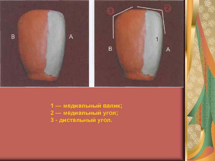 Верхняя половина