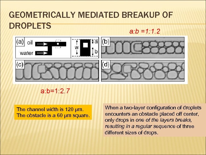 GEOMETRICALLY MEDIATED BREAKUP OF DROPLETS a: b =1: 1. 2 a: b=1: 2. 7