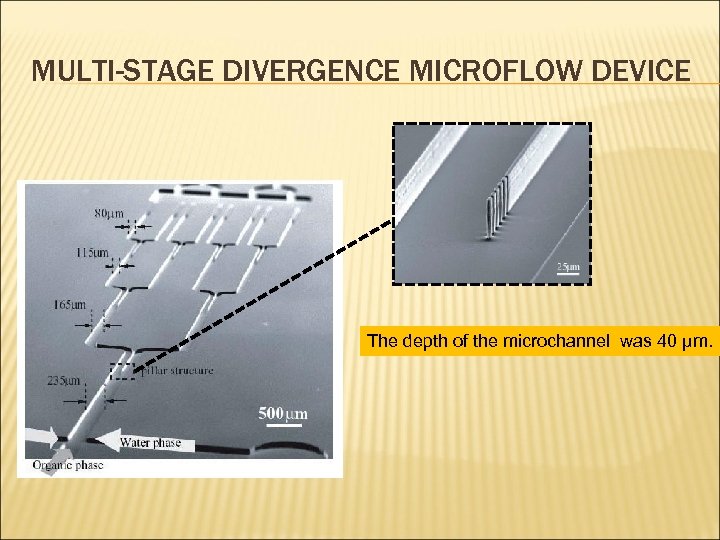 MULTI-STAGE DIVERGENCE MICROFLOW DEVICE The depth of the microchannel was 40 μm. 