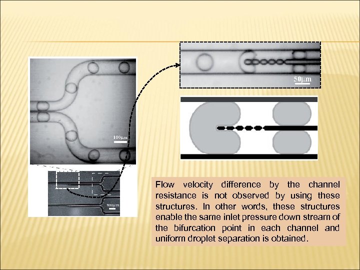 Flow velocity difference by the channel resistance is not observed by using these structures.