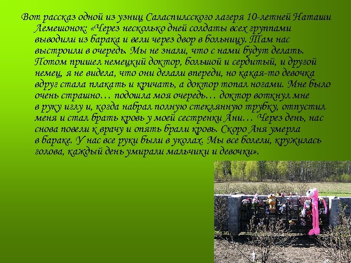 Вот рассказ одной из узниц Саласпилсского лагеря 10 -летней Наташи Лемешонок: «Через несколько дней