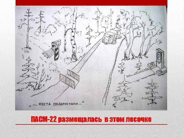 ПАСМ-22 размещалась в этом лесочке 