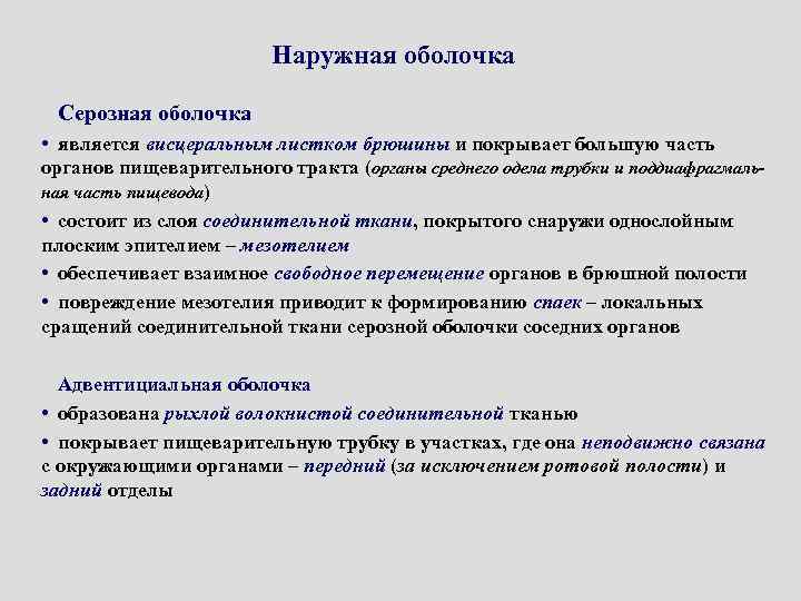 Наружная оболочка Серозная оболочка • является висцеральным листком брюшины и покрывает большую часть органов