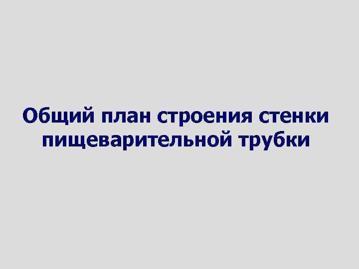 Общий план строения стенки пищеварительной трубки 