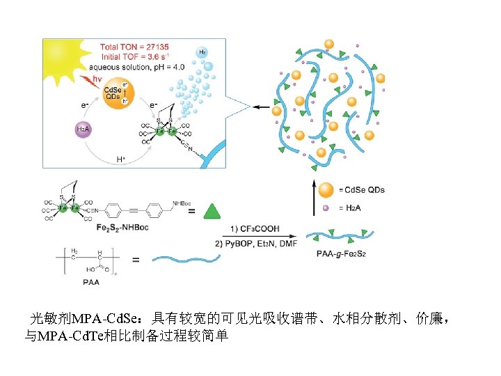光敏剂MPA-Cd. Se：具有较宽的可见光吸收谱带、水相分散剂、价廉， 与MPA-Cd. Te相比制备过程较简单 