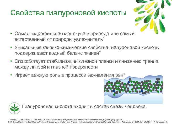 Свойства гиалуроновой кислоты • Самая гидрофильная молекула в природе или самый естественный от природы