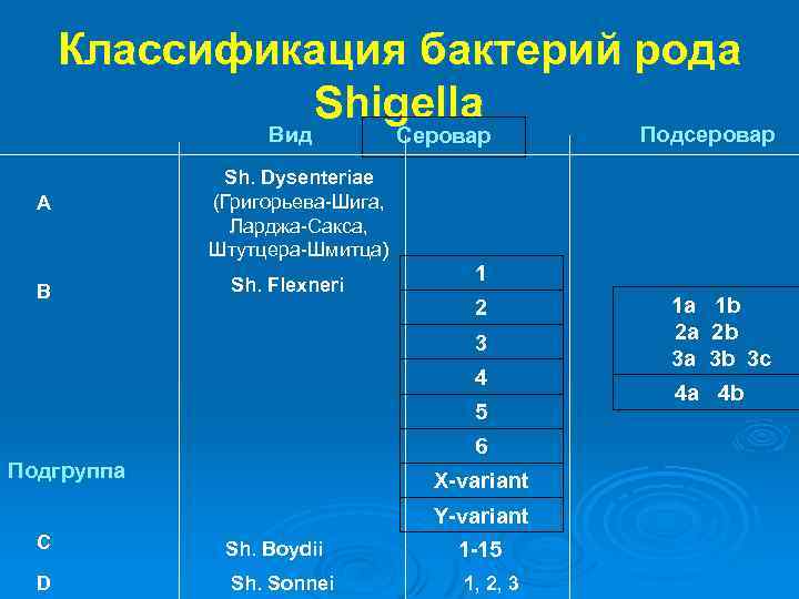 Классификация бактерий рода Shigella Вид А В Серовар Sh. Dysenteriae (Григорьева-Шига, Ларджа-Сакса, Штутцера-Шмитца) Sh.