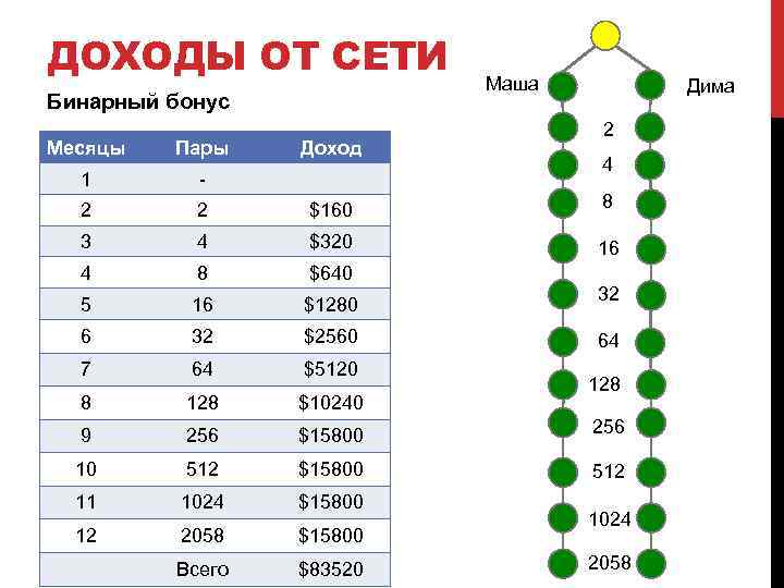 ДОХОДЫ ОТ СЕТИ Бинарный бонус Доход Маша Дима 2 Месяцы Пары 1 - 2