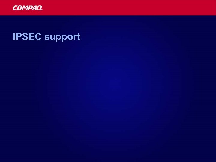 IPSEC support 